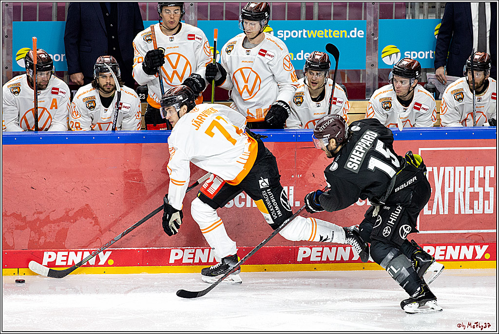 PENNY DEL;  Koelner Haie - Wolfsburg Grizzlys; Koeln, 17.03.2021